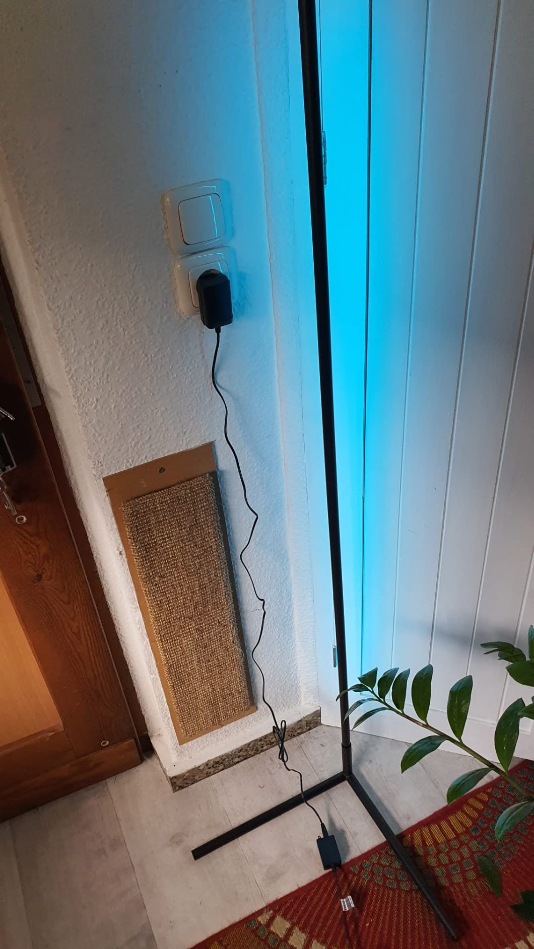 Absolute Stimmungsmacherin